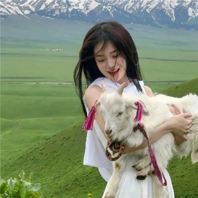 合约谋杀案