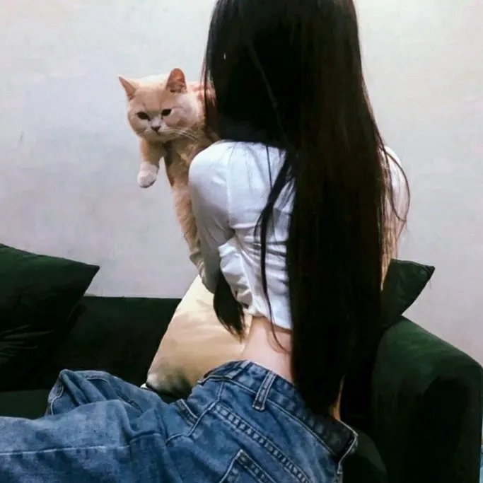 伊迪